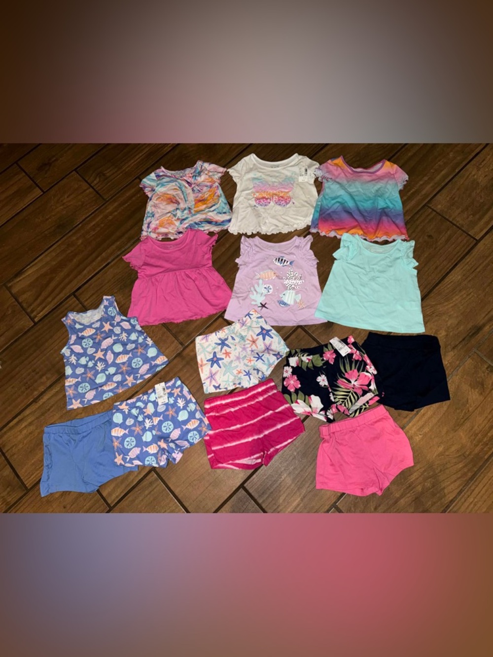 NWT & NWOT baby Girl Clothing Bundle 18-24months